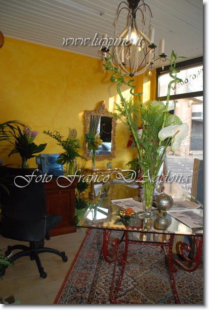 Sei già all'ultima foto